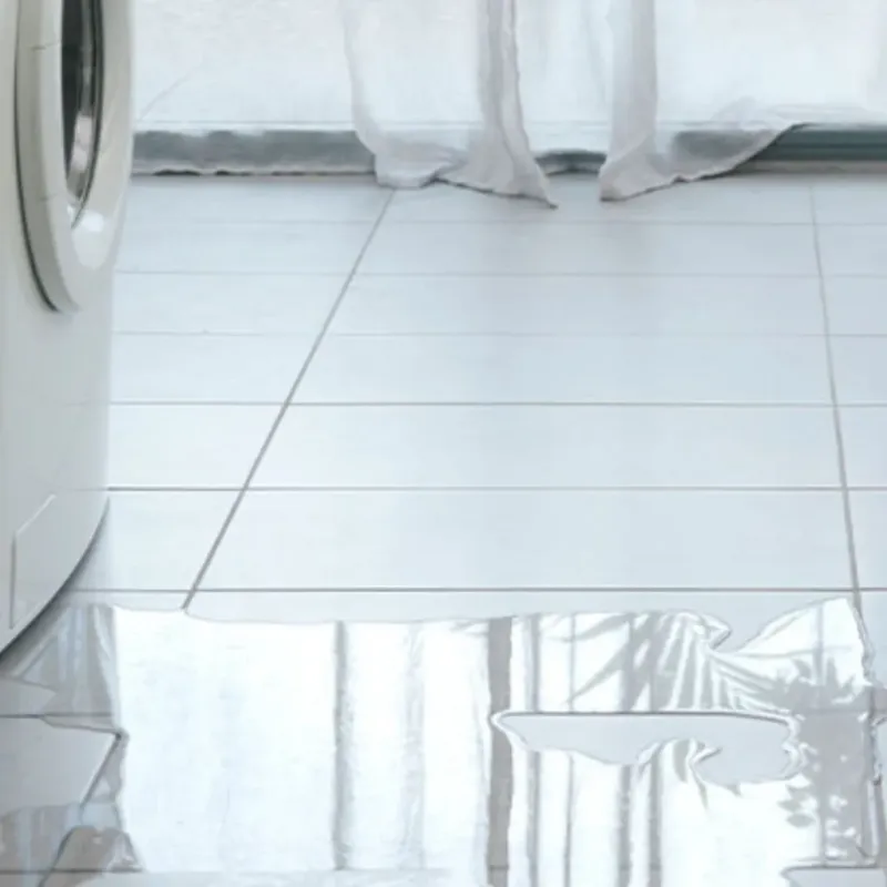 Appliance Leak Cleanup in Coweta County, GA