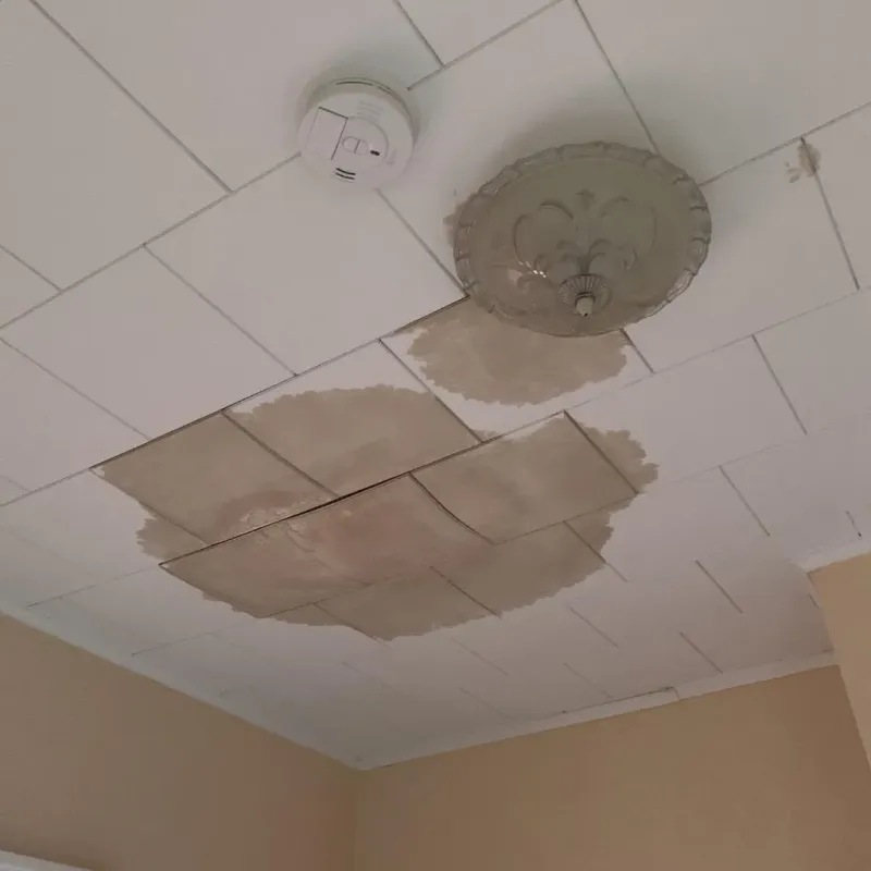 Ceiling Water Damage Repair in Coweta County, GA