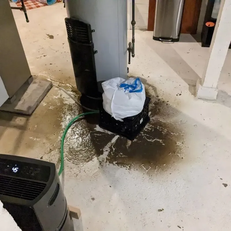 Sewage Backup Cleanup Service in Coweta County, GA